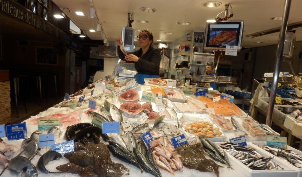 P1010769.jpg