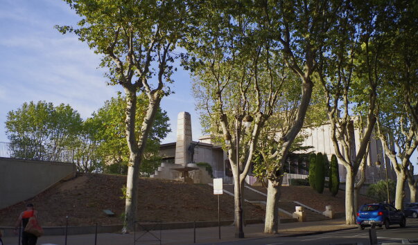 IMGP0729.jpg