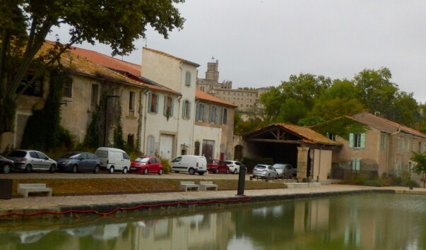 P1011059.jpg