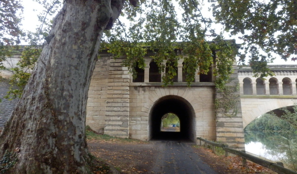 P1011014.jpg