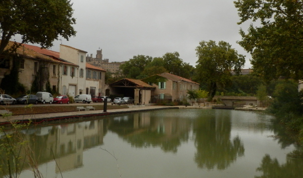P1011056.jpg