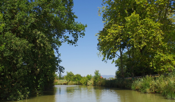 IMGP2688.jpg