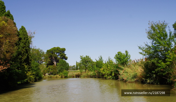 photo 2161816