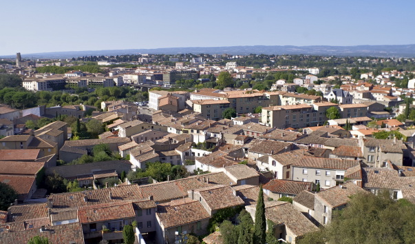 IMGP3010.jpg