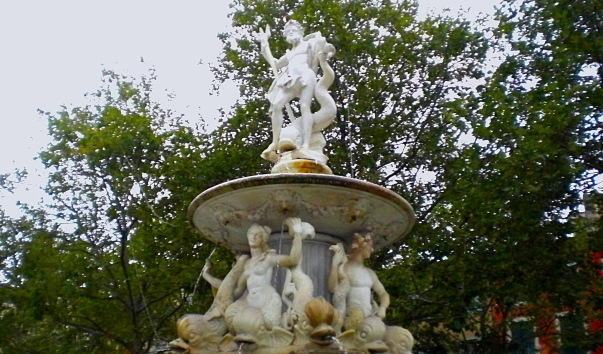 CIMG0440.jpg