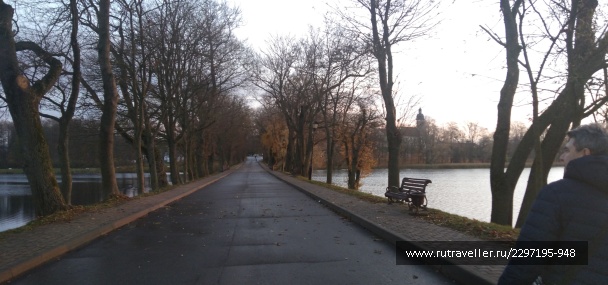 photo 2131655