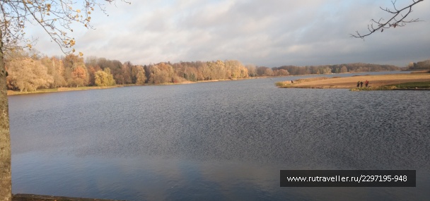 photo 2131794
