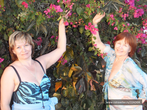 photo 268616