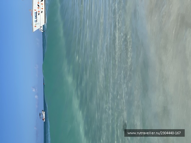 photo 2133148