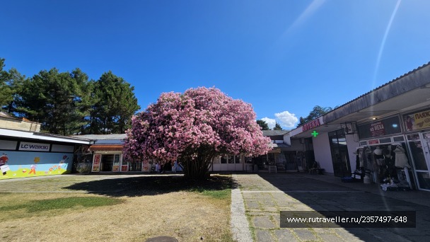 photo 2151423