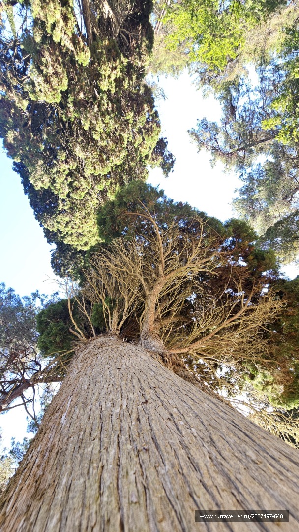 photo 2151424