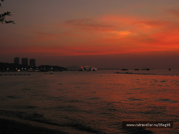photo 239509