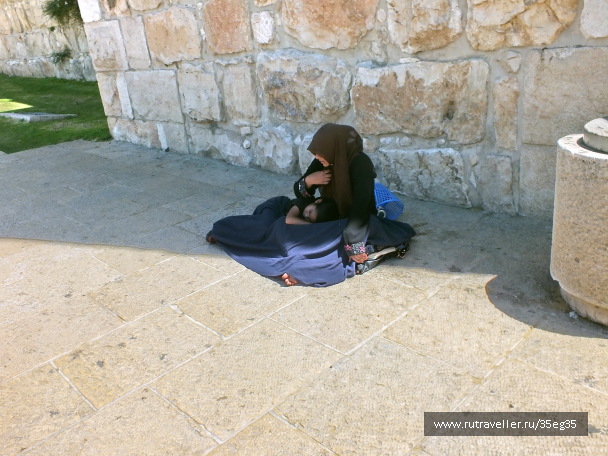 photo 575782