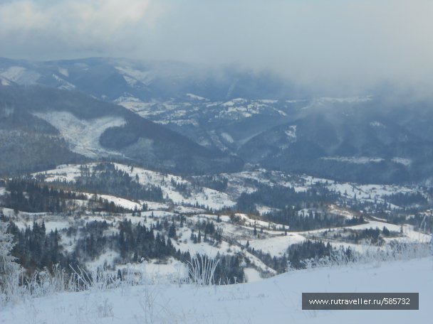 photo 658612
