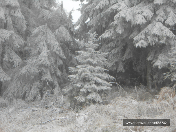 photo 658613