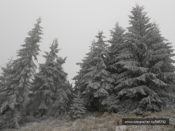 photo 658614