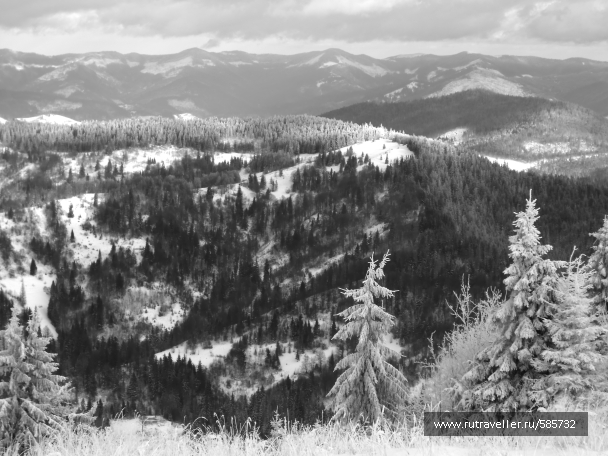 photo 658621