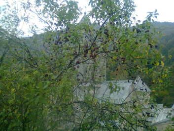 photo 658815