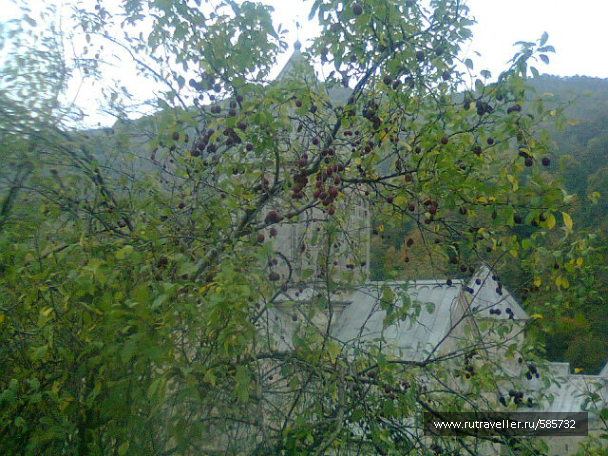 photo 658815
