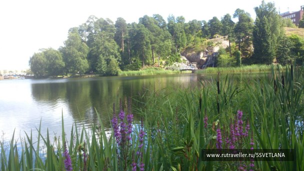 photo 1584521