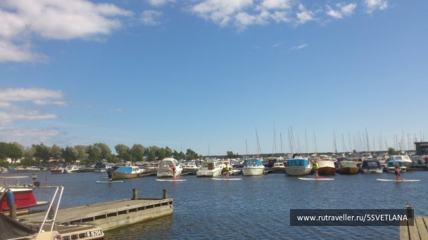 photo 1584524
