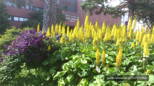 photo 1584525
