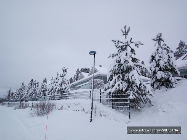 photo 1584765