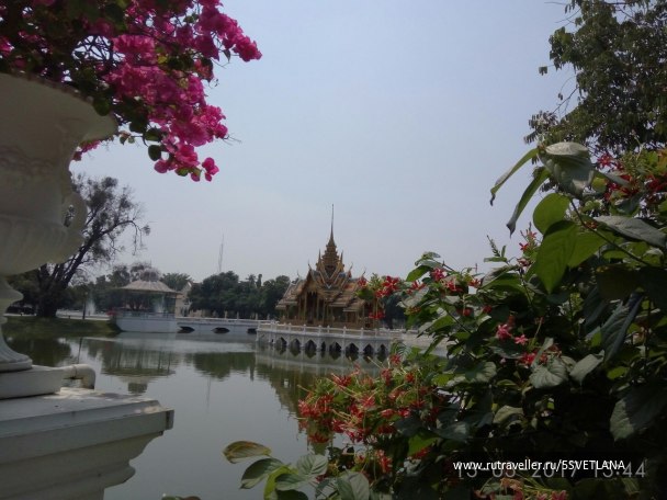 photo 1584542
