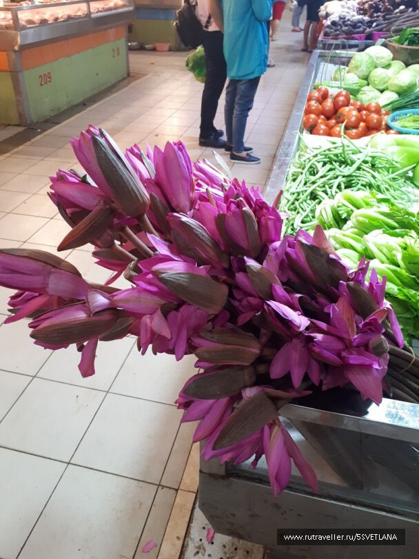 photo 1583935