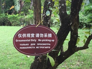 photo 1584868