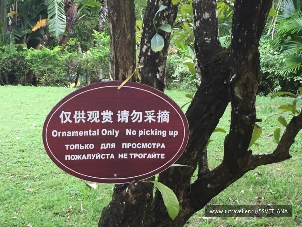 photo 1584868