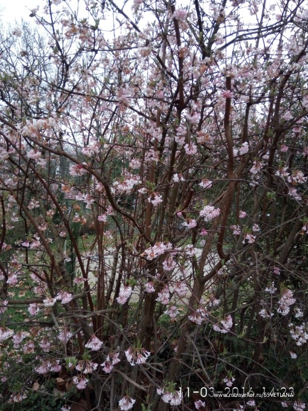 photo 1584180