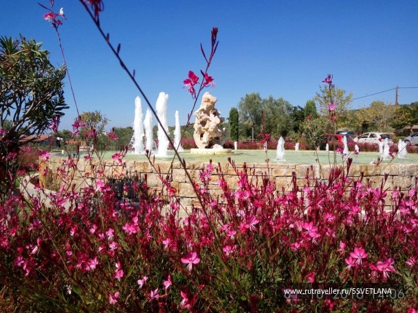photo 1588838