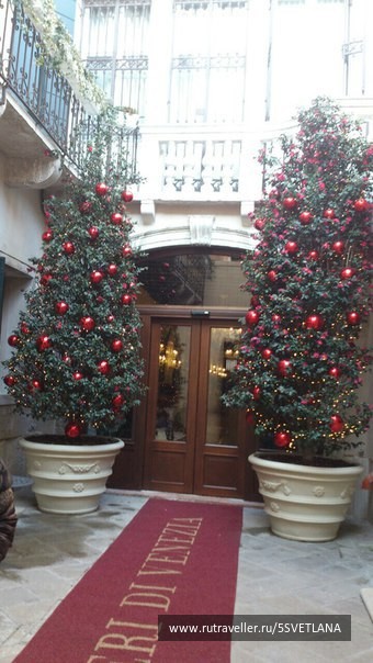 photo 1584520