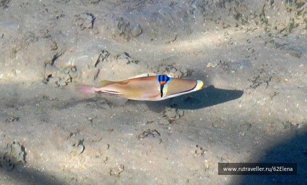 photo 89742