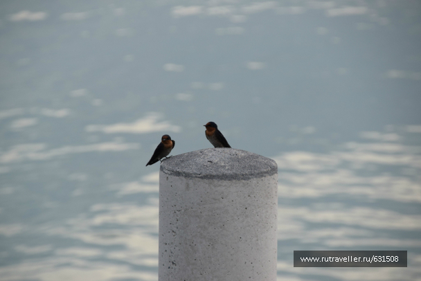 photo 726710
