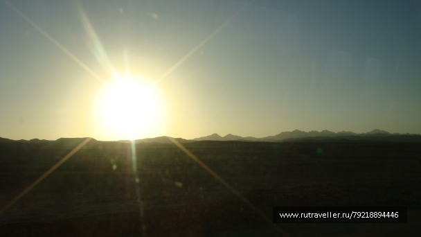 photo 255946