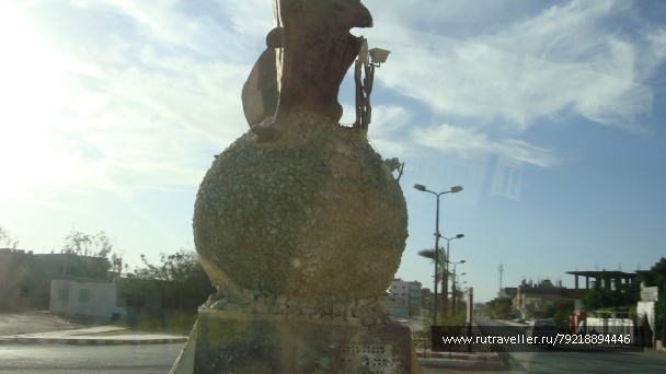 photo 255951