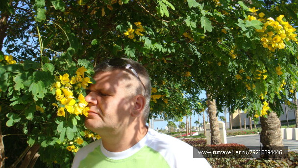 photo 256004