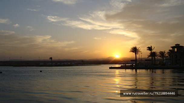 photo 256012