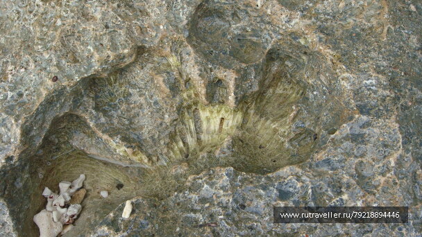 photo 256021