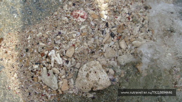photo 256023
