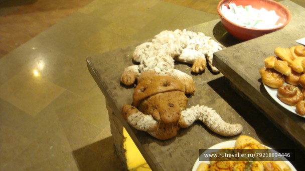 photo 256044