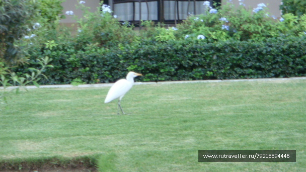 photo 256053