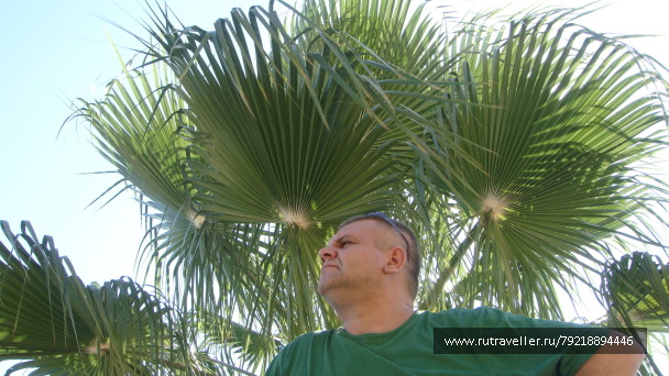 photo 256055