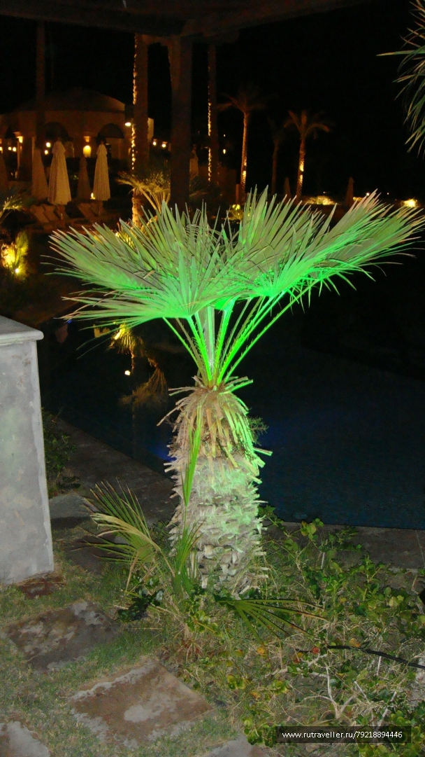 photo 255962