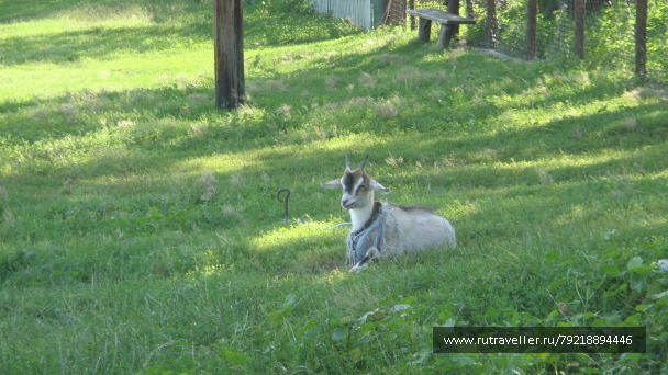 photo 255650