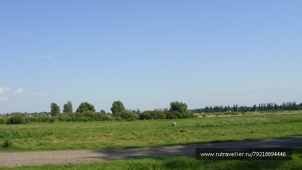 photo 255651