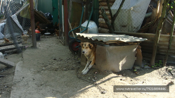 photo 255668