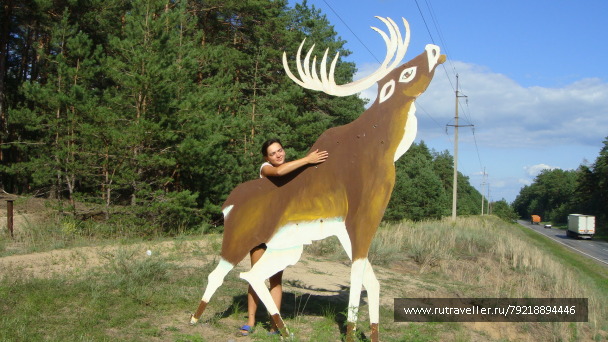 photo 255672
